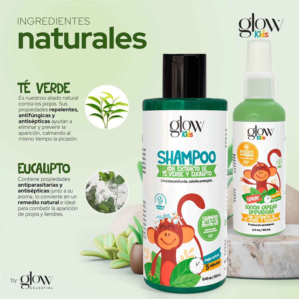 KIT SHAMPOO PARA PIOJOS
